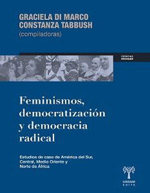 Feminismo, democratización y democracia radical